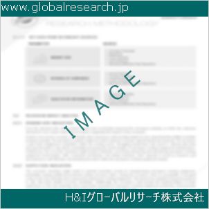 グローバルリサーチ調査資料のイメージ